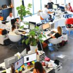 Dalla strategia all’esecuzione il rapporto tra leadership, organizzazione e coerenza operativa
